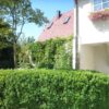 Hecken – Pflanzen & Schneiden Hecke