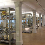 Medizinhistorisches Museum vitrinen mit exponaten