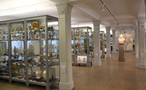 Medizinhistorisches Museum vitrinen mit exponaten