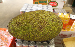 brotfrucht exotische frucht dong xuan center