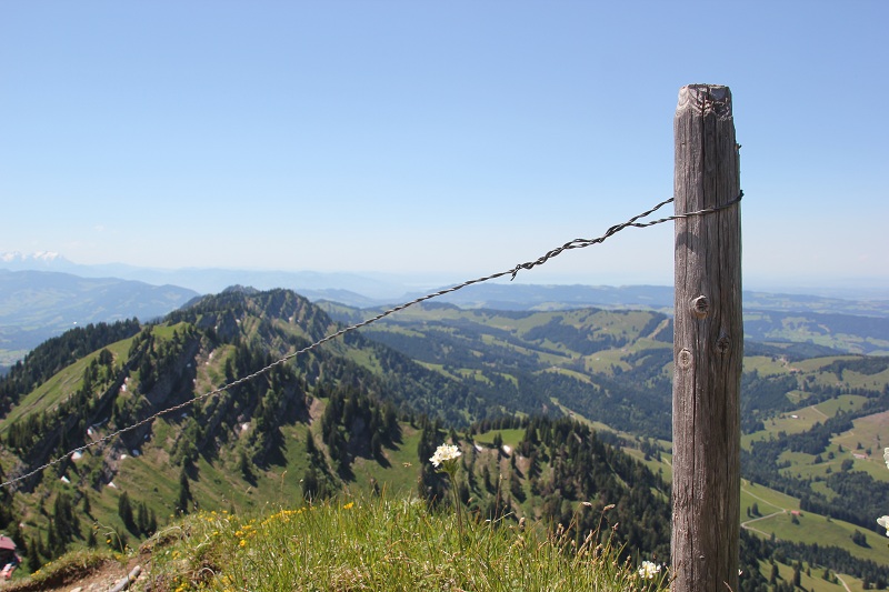 Blick auf die Alpen