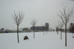 Berlin im Schnee
