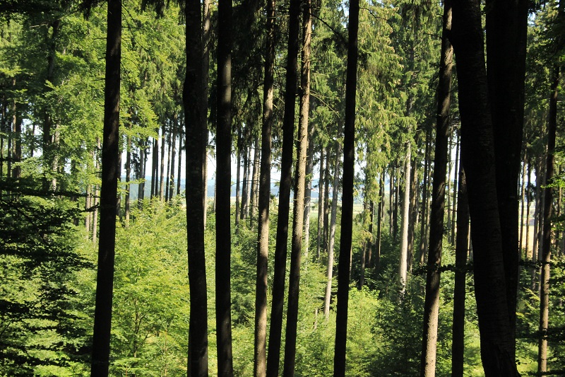Fernsehen & Natur-Dokus