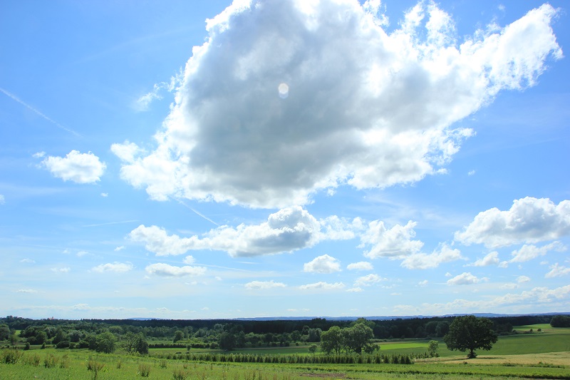 Siebenschläfer und das Wetter im Sommer