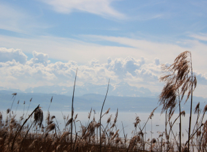 Wolkenbildung