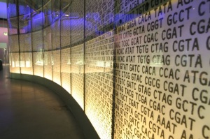 Genetischer Code Ausstellung