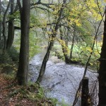 Fluss im Elbsandsteingebirge