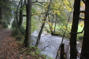 Fluss im Elbsandsteingebirge