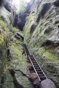 Steiler Aufstieg Wanderweg