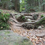 Wanderweg Elbsandsteingebirge