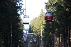 1-48 Seilbahn Wurmberg Waldschneise