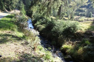 1-60 Bach am Wurmberg