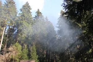 2-12 Rauch der Dampfbahn