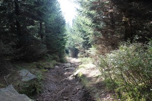 2-7 Wanderpfad Brocken