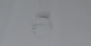 Fuss Spuren im Schnee