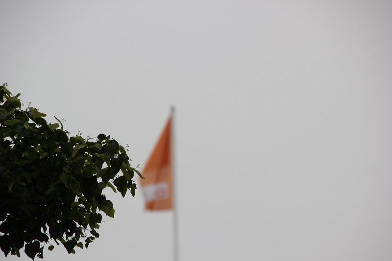 Gruen vor CDU Flagge