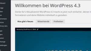 Wordpress update screen