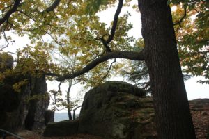 burgruine-neurathen-steine