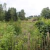 Boden bestimmen – Welche Erde braucht man im Garten? nutzpflanzen-garten