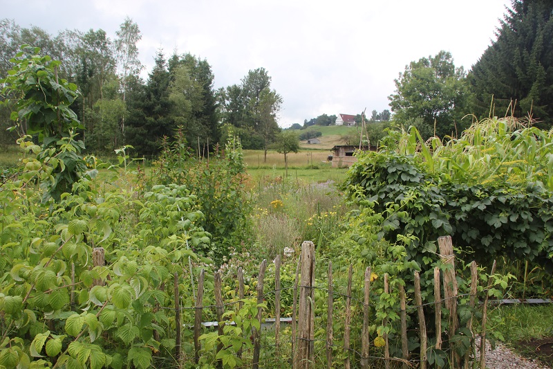 nutzpflanzen-garten