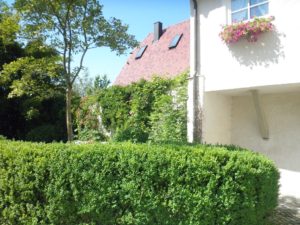 Hecke