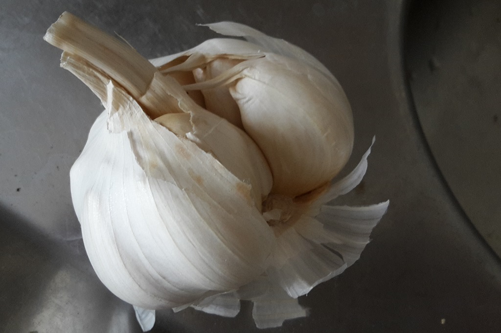 Knoblauch