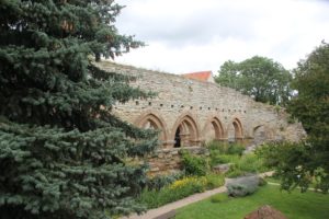 Langhaus Klosterkirche Ruine Memleben