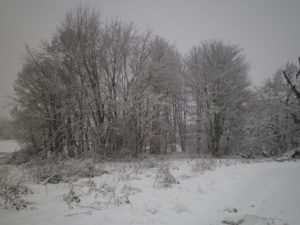 Schnee Landschaft