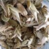 Weißer Tee & Grüner Tee – Wo liegt der Unterschied? Weisser Tee