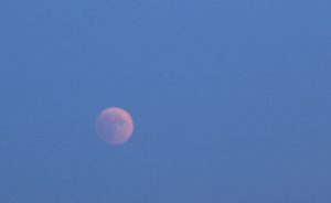 Blutmond 1 - Fruehphase