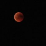 Blutmond 11 - Vollphase