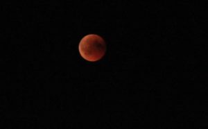 Blutmond 11 - Vollphase
