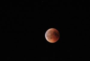 Blutmond 2 - Endphase
