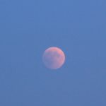 Blutmond 2 - Fruehphase