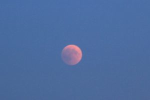 Blutmond 3 - Fruehphase
