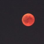 Blutmond 5 - Vollphase