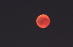 Blutmond 5 - Vollphase