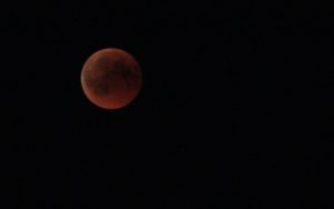 Blutmond 9 - Vollphase