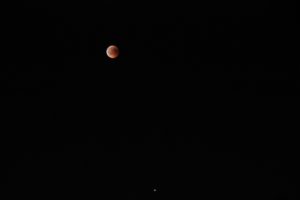 Blutmond Mars 3 - Endphase