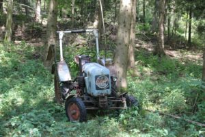 Traktor im Wald