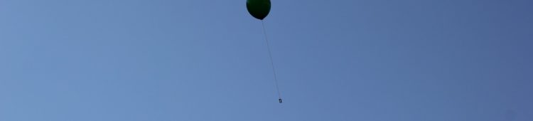 Wir müssen jetzt auf die Linken hören Luftballon