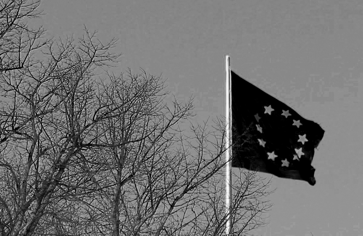 Schwarze Europaflagge