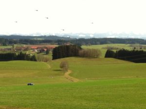 Muecken vor der Linse