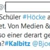 Strategien der Rechten und Rechtsradikalen Rechtsradikales Gruenenbashing