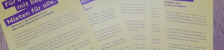 Erfahrungsbericht: Mitarbeit bei Deutsche Wohnen & Co enteignen Deutsche Wohnen Enteignen Flyer