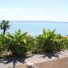 Bananen am Bodensee Bananen-am-Bodensee-