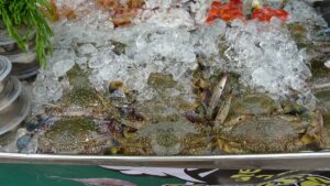Frische Krabben Khao Lak Thailand