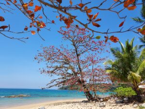 Hotelstrand Khao Lak Thailand