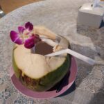 Kokusnuss Khao Lak Thailand