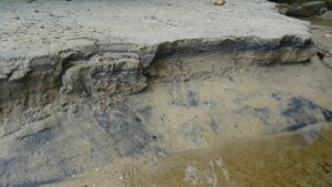 Nickel im Boden Khao Lak Thailand